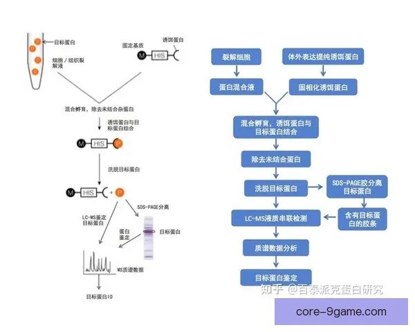 深入解析足球数据背后的规律与实战应用方法